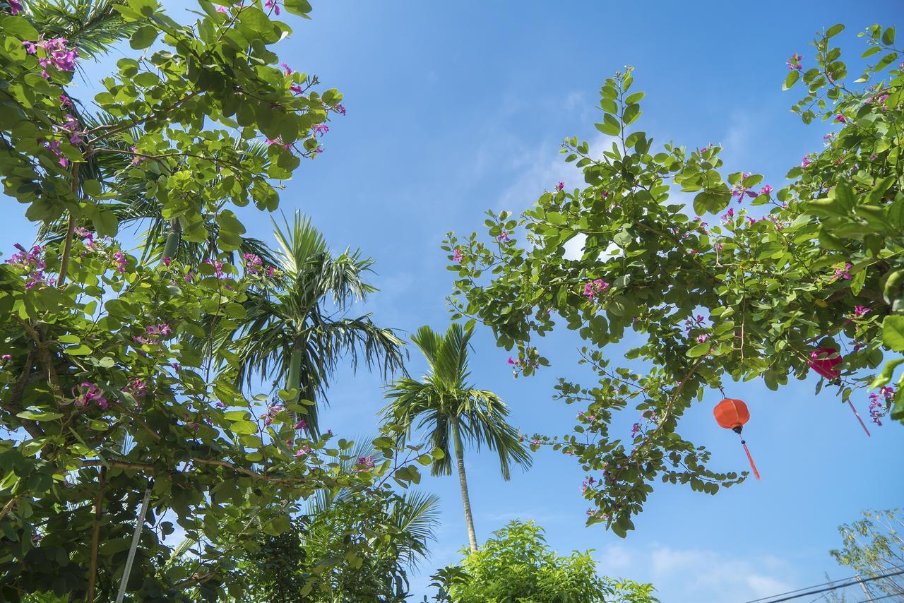 Hoi An Luna Villa Luaran gambar